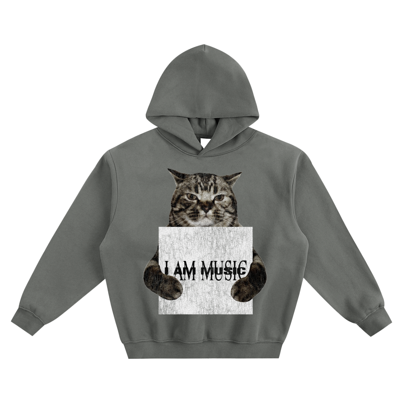 Cat Holding "MUSIC" Playboi Carti Hoodie v2- Gray