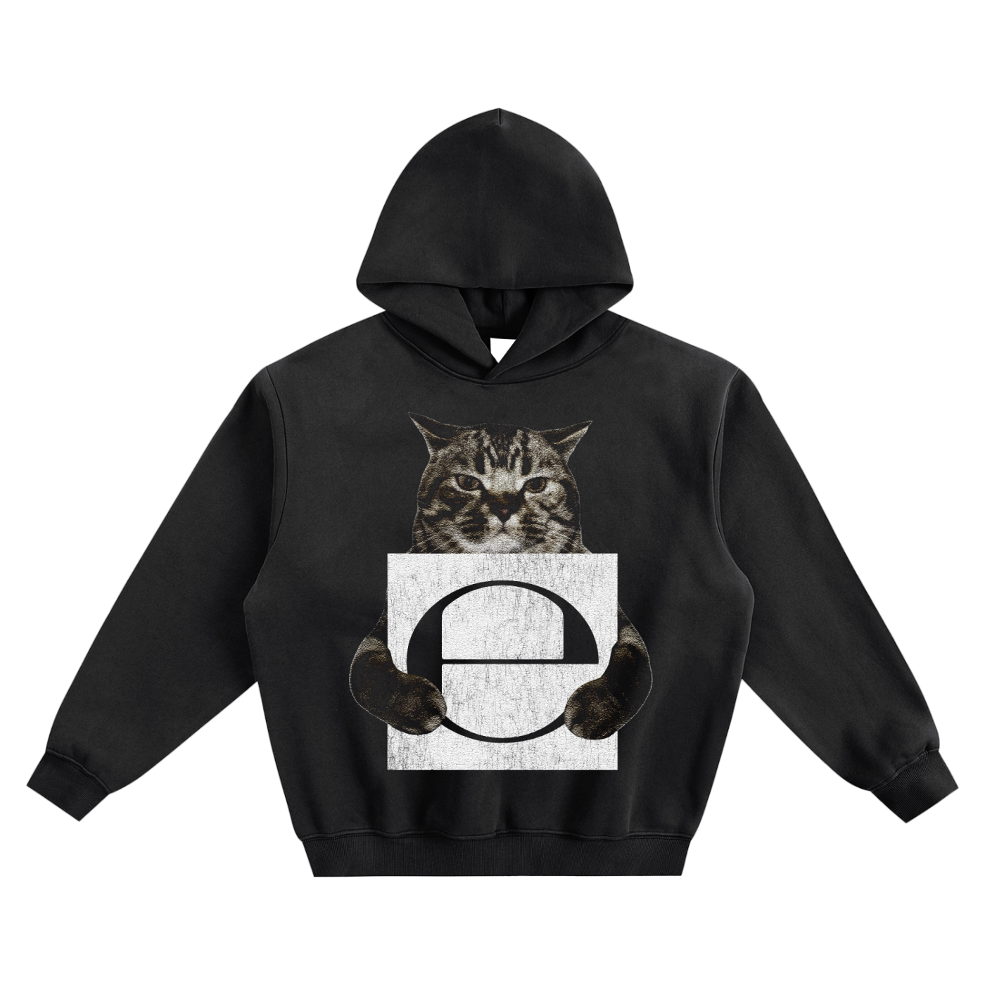 Cat Holding "e" Ecco2k Hoodie v2- Black