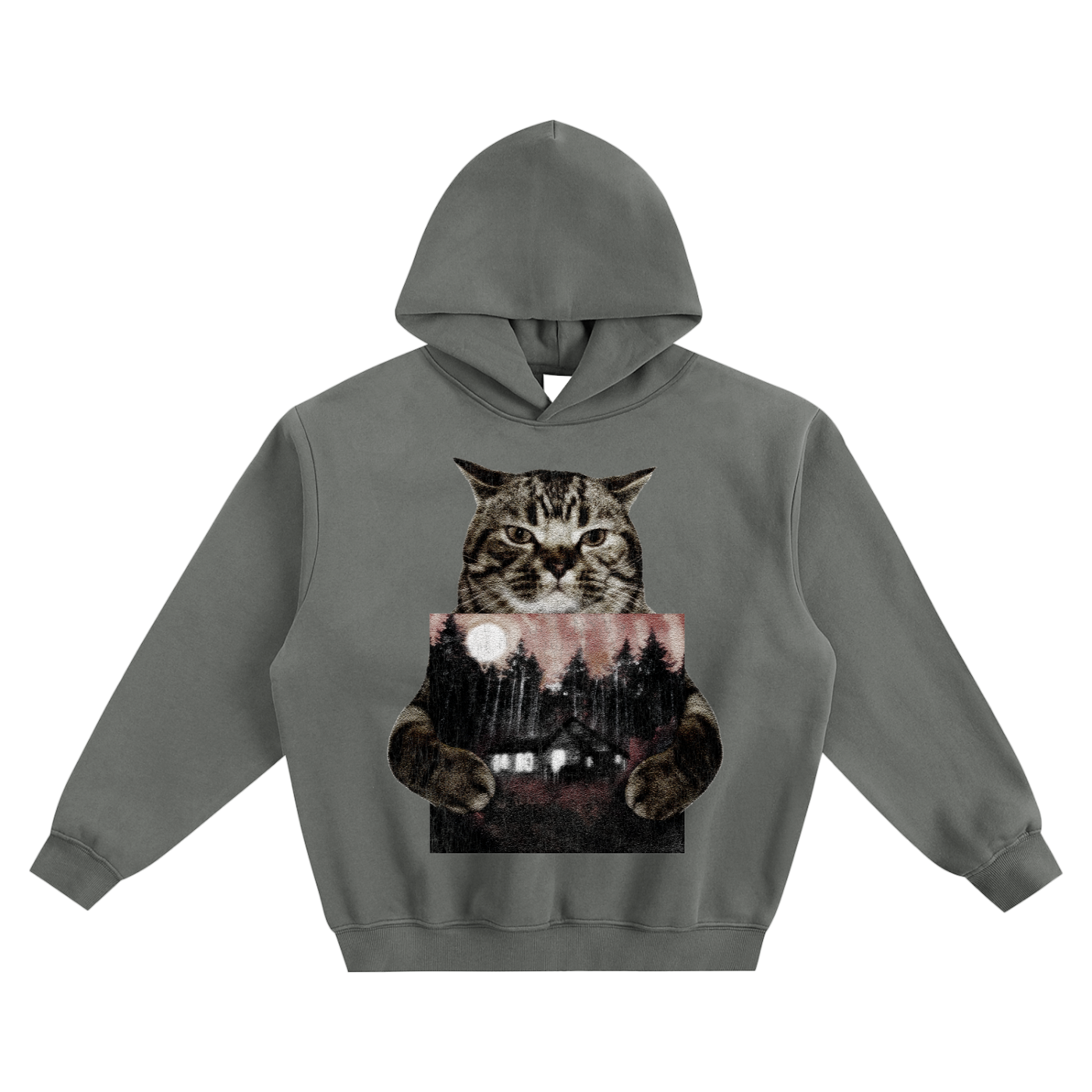 Cat Holding "Know Nothing Else" Izaya Tiji Hoodie v2- Gray