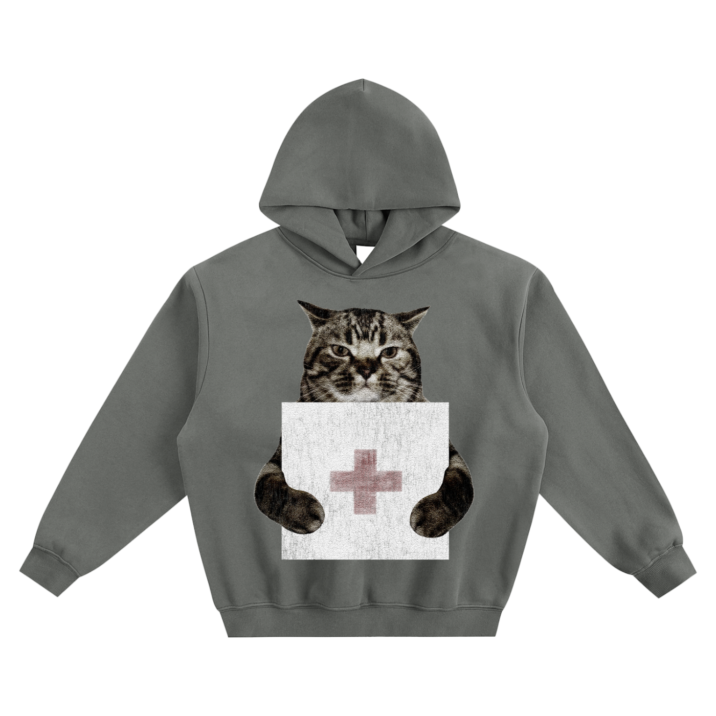 Cat Holding "2" 2Hollis Hoodie v2- Gray