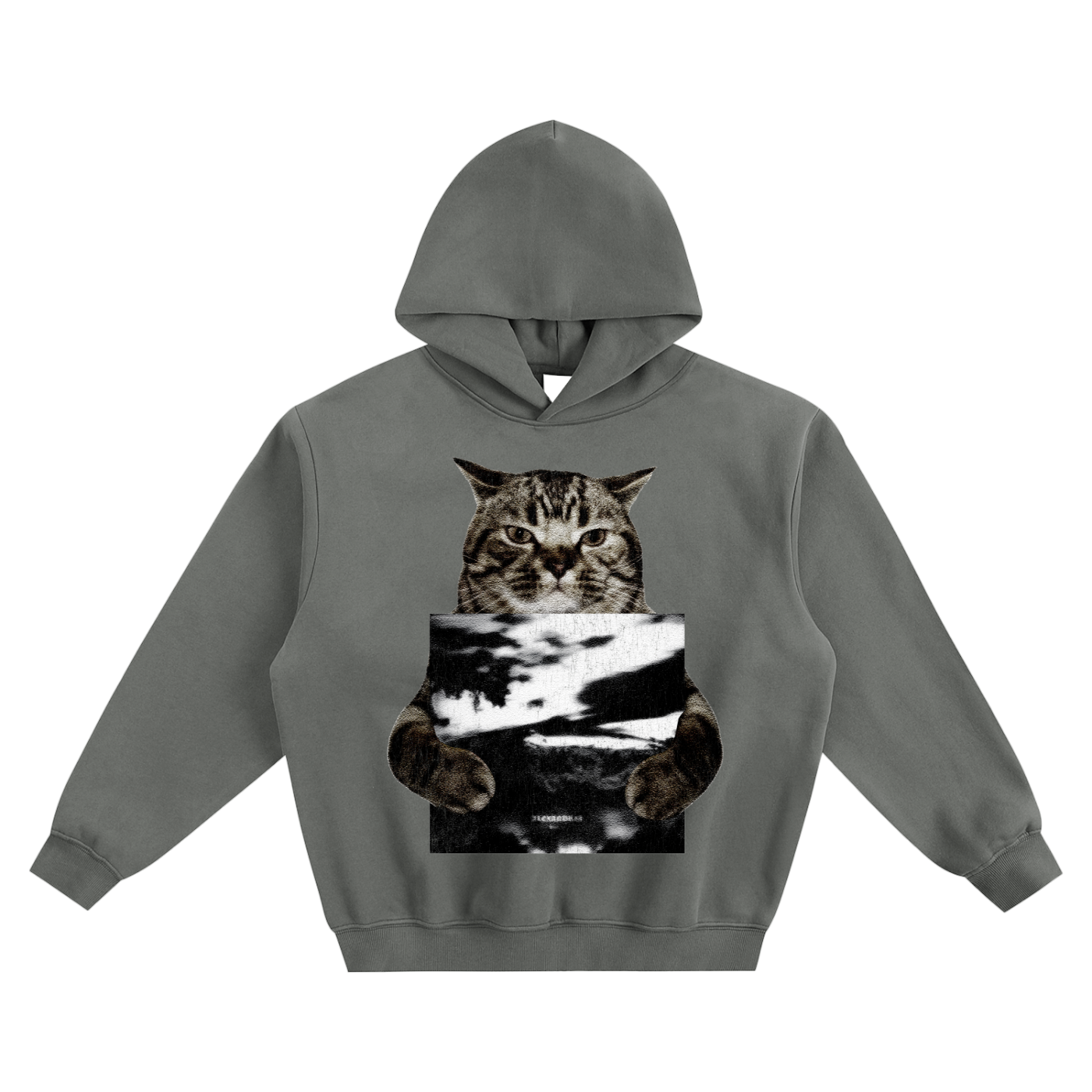 Cat Holding "Alexandria" Izaya Tiji Hoodie v2- Gray