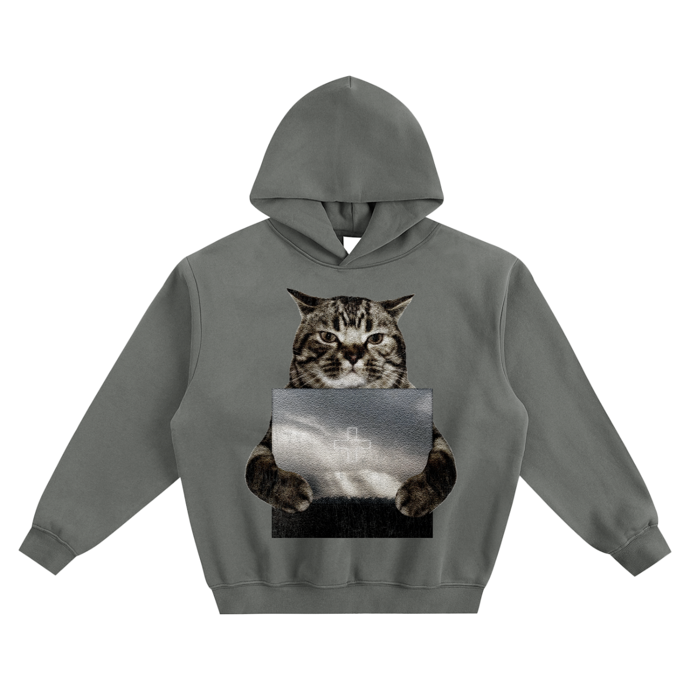 Cat Holding "Boy" 2Hollis Hoodie v2- Gray